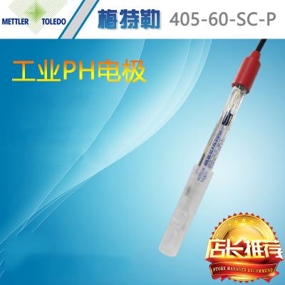 梅特勒405ph電極工業(yè)在線ph計(jì)便攜式電極傳感器探頭ph計(jì)測(cè)試儀
